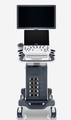 Good price P20 bouwde het Digitale de Ultrasone klanksysteem van Kleurendoppler Batterij in online