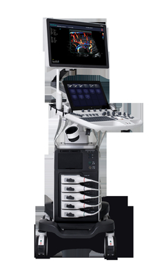 Good price USB 3,0 de Digitale van het de Ultrasone klanksysteem P40 van Kleurendoppler Medische Monitor online