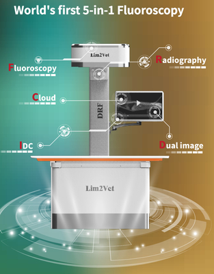 Good price 32 kW Veterinaire medische apparatuur Realtime Fluoroscopie Machine DR online