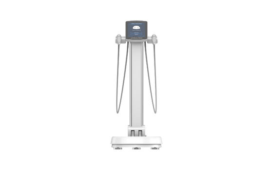 Good price 2.4ghz professionele medische lichaamscompositie analysator met LCD-scherm online
