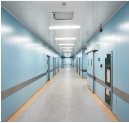 Good price LED paneel/Gasafdichtingslamp paneel, operatiekamer/ziekenhuis online